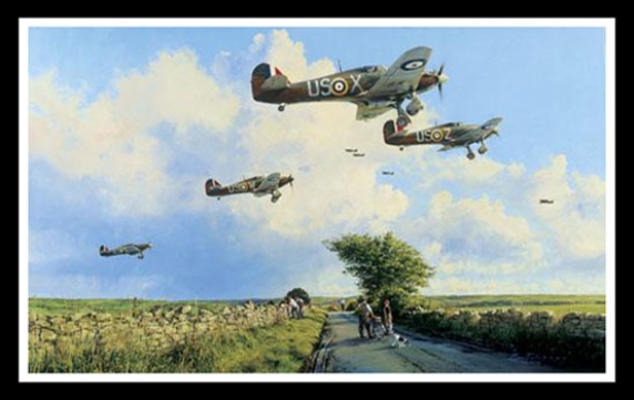Glorious Summer ~ Robert Taylor