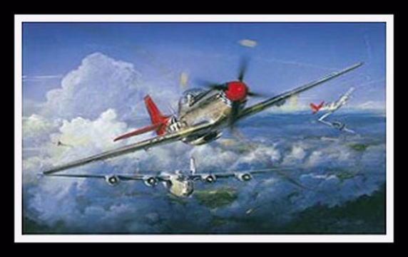 Red Tail Angels ~ John Shaw