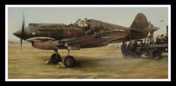 Shark Sighting ~ John Shaw
