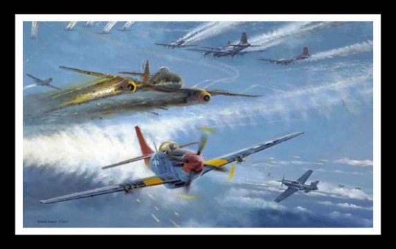 Tuskegee Thunder ~ Robert Bailey