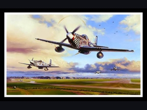 Duxford Eagles ~ Nicolas Trudgian