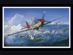 Red Tail Angels ~ John Shaw