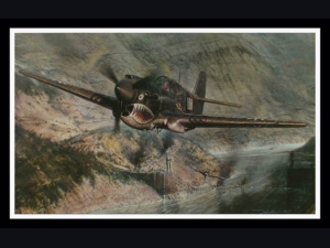 Tigers in the Gorge ~ John Shaw