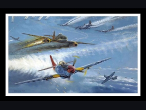 Tuskegee Thunder ~ Robert Bailey